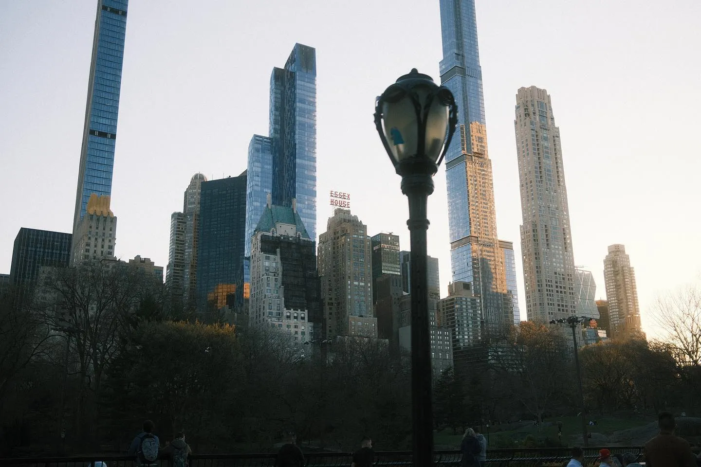 An afternoon spring stroll in Central Park. (image 3 of 10)