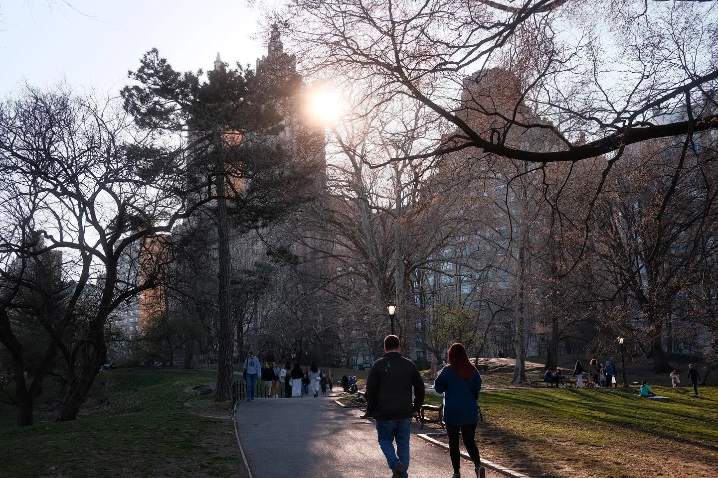 An afternoon spring stroll in Central Park. (image 4 of 10)