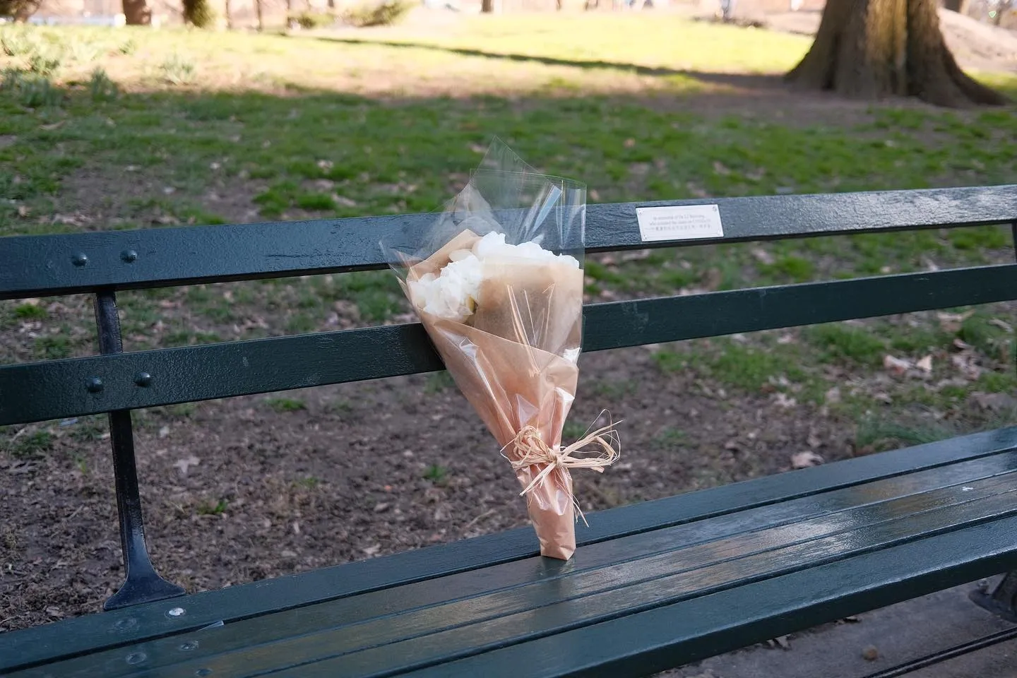 An afternoon spring stroll in Central Park. (image 6 of 10)