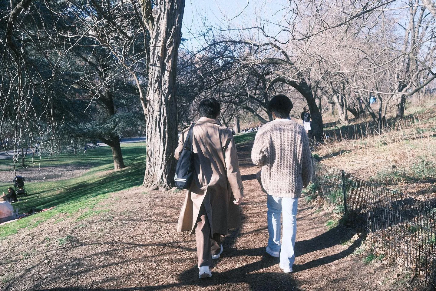An afternoon spring stroll in Central Park. (image 9 of 10)